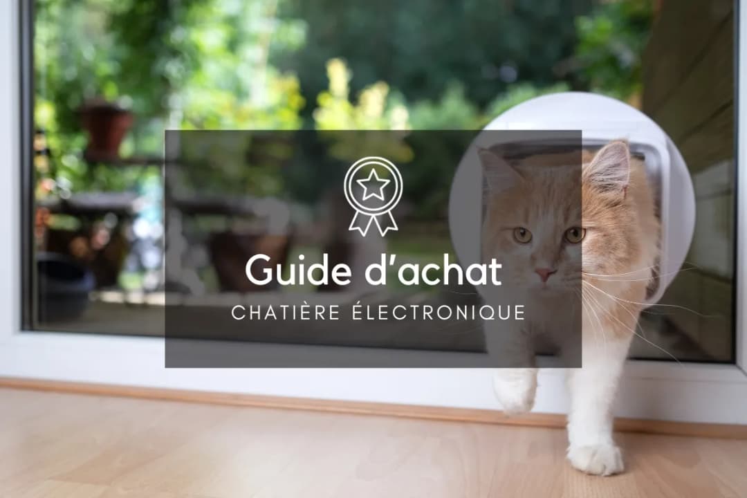 Chatière connectée smartphone : contrôle facile et sécurité pour vos chats